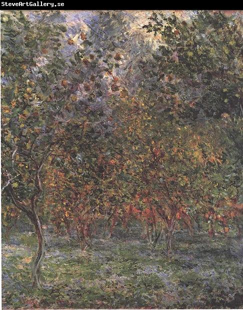 Claude Monet The Lemon Grove in Bordighera